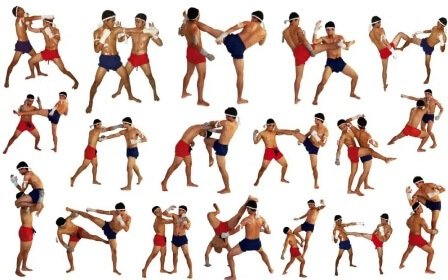 Muay Thai Martial art information in all topics